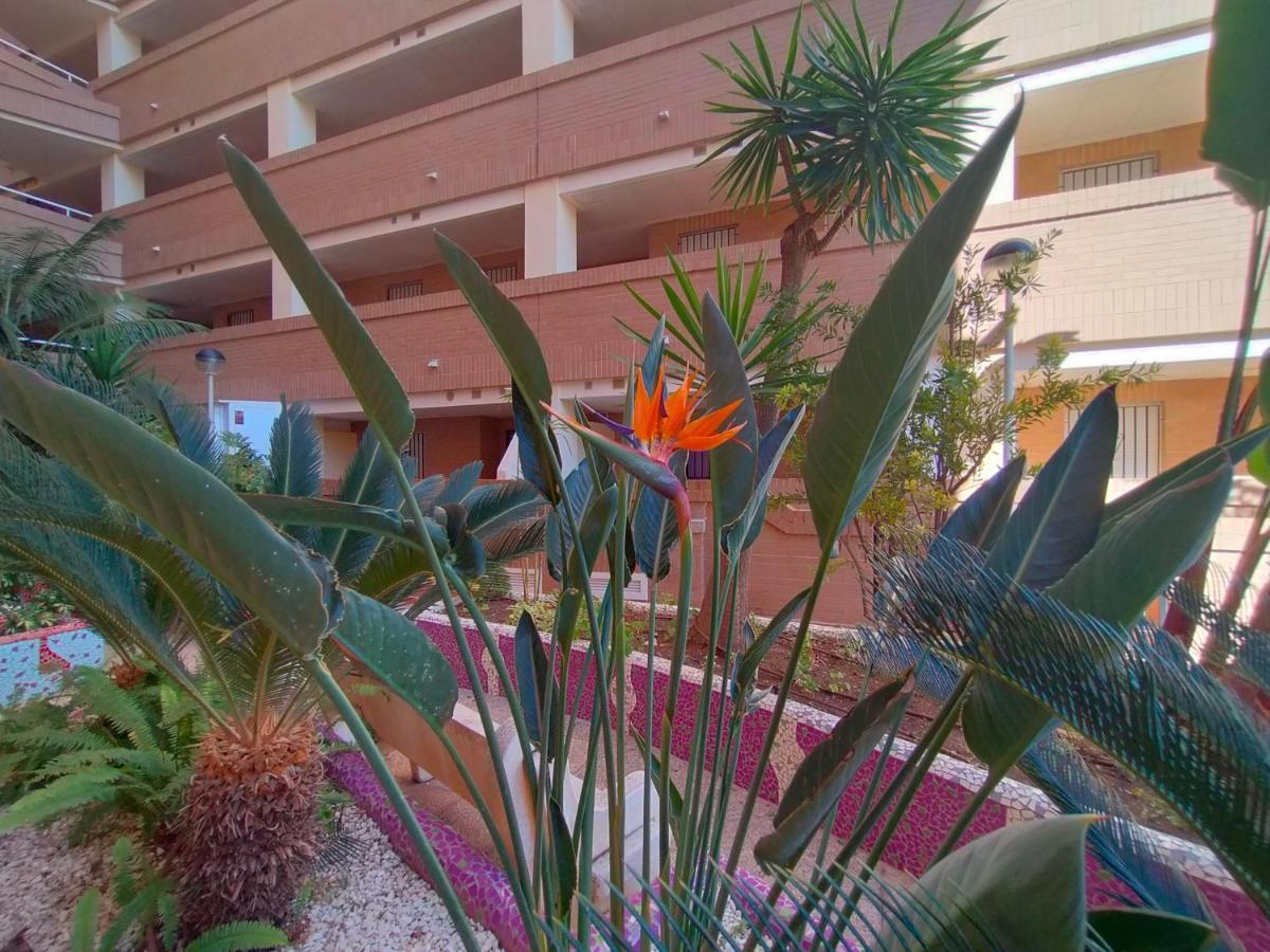 Acv - Costa Caribe I-2ª Linea Planta 1 Sur Apartment Oropesa del Mar Bagian luar foto